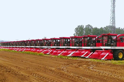 中國農機院多款產品入選農業農村部先進適用畜牧養殖機械裝備，助力畜牧漁業飼料銷售升級