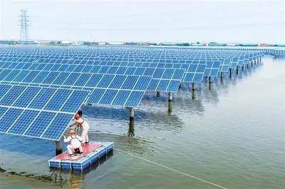 聚焦丨唐山豐南區(qū)“漁光互補(bǔ)”項目顯成效 助推畜牧漁業(yè)飼料銷售增長