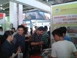 綠葉閃耀第五屆中國湖南畜牧漁業暨飼料工業博覽會，助推畜牧漁業飼料銷售創新升級