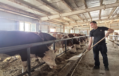 安曉軍 駐村擔當在托克遜鐵提爾村，架起畜牧漁業飼料銷售新橋梁