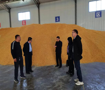 地方畜牧漁業(yè)飼料銷售現(xiàn)狀與前景展望